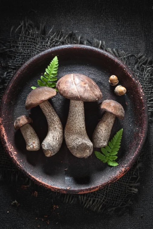 Mushroom Edibles