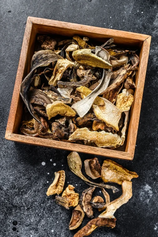 dried-mushrooms-grouped 2