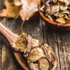 dried-mushrooms-grouped
