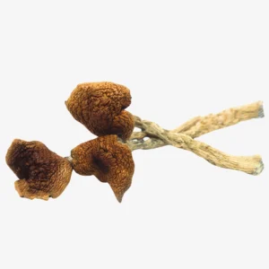 B-CUBENIS