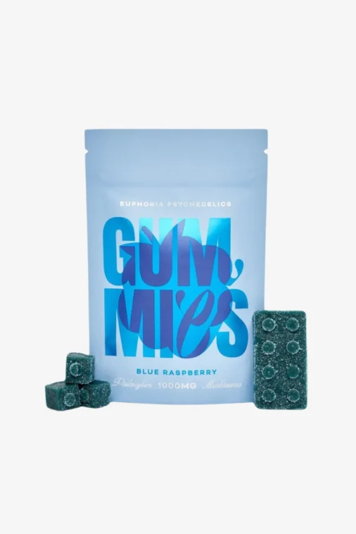 Lego Brick Blue Raspberry Gummies 1