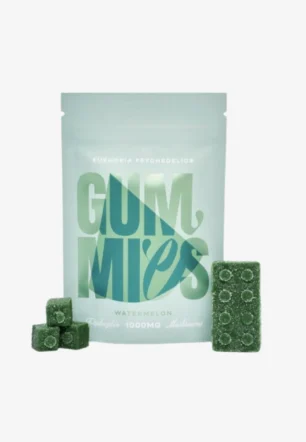 Lego Brick Watermelon Gummies 1