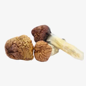 MAZATAPEC