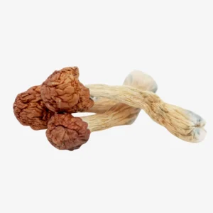 Melmac Penis Envy