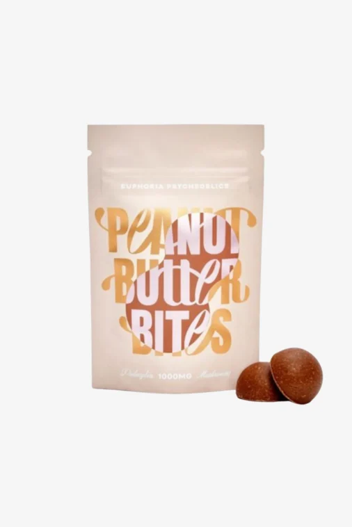 Peanut Butter Bites 1