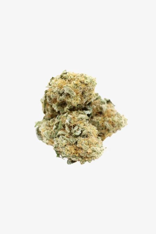 Watermelon Ice Cannabis