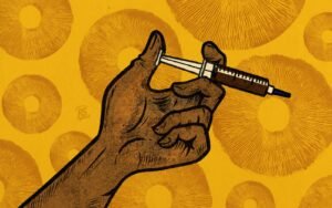 psilocybin-mushroom-spores