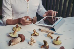 Shelf Life of Shrooms